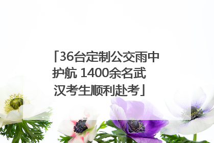 36台定制公交雨中护航 1400余名武汉考生顺利赴考