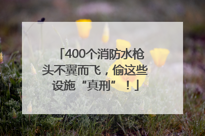 400个消防水枪头不翼而飞，偷这些设施“真刑”！