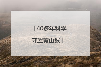 40多年科学守望黄山猴