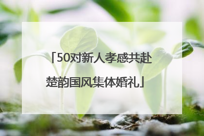 50对新人孝感共赴楚韵国风集体婚礼