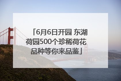 6月6日开园 东湖荷园500个珍稀荷花品种等你来品鉴
