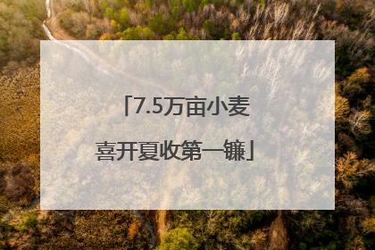 7.5万亩小麦喜开夏收第一镰