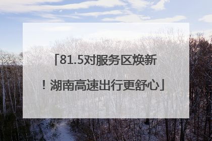 81.5对服务区焕新！湖南高速出行更舒心