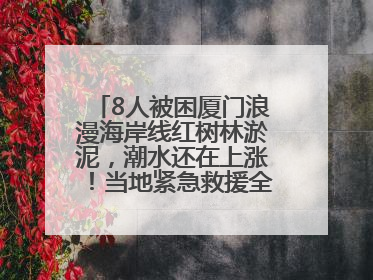 8人被困厦门浪漫海岸线红树林淤泥，潮水还在上涨！当地紧急救援全部脱困