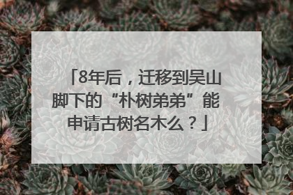8年后，迁移到吴山脚下的“朴树弟弟”能申请古树名木么？
