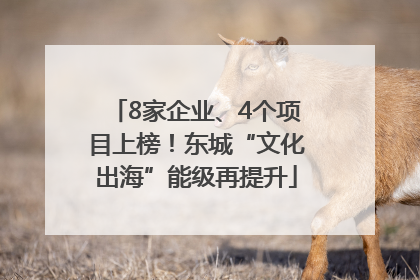 8家企业、4个项目上榜！东城“文化出海”能级再提升
