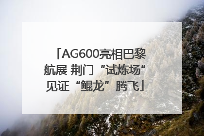 AG600亮相巴黎航展 荆门“试炼场”见证“鲲龙”腾飞