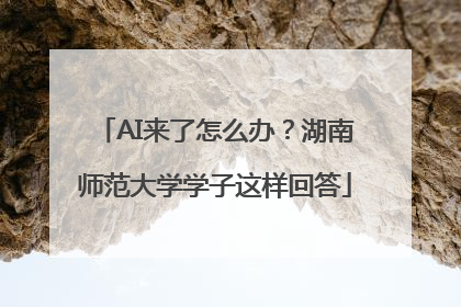 AI来了怎么办？湖南师范大学学子这样回答