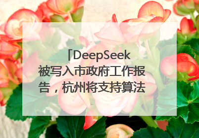 DeepSeek被写入市政府工作报告，杭州将支持算法模型企业发展