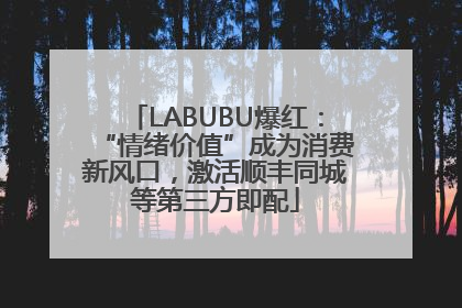 LABUBU爆红：“情绪价值”成为消费新风口，激活顺丰同城等第三方即配