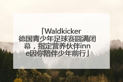 Waldkicker德国青少年足球赛圆满闭幕，指定营养伙伴inne因你陪伴少年前行