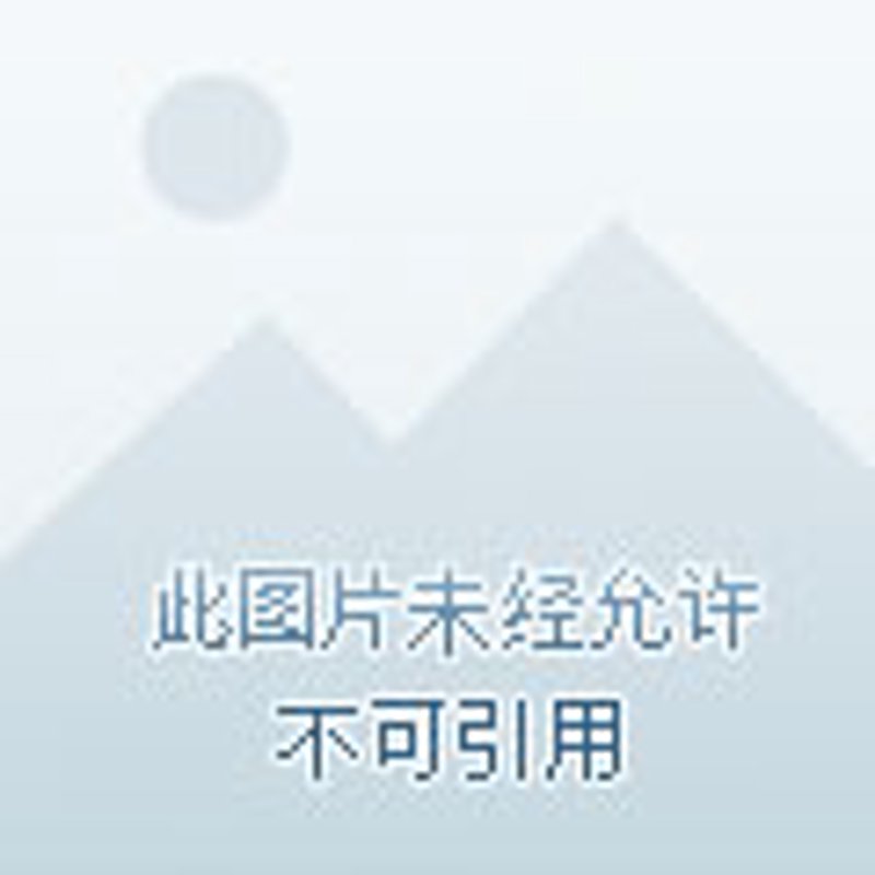 人事代理：企业如何高效管理人力成本？